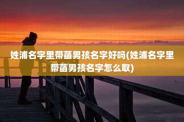姓浦名字里带菡男孩名字好吗(姓浦名字里带菡男孩名字怎么取)