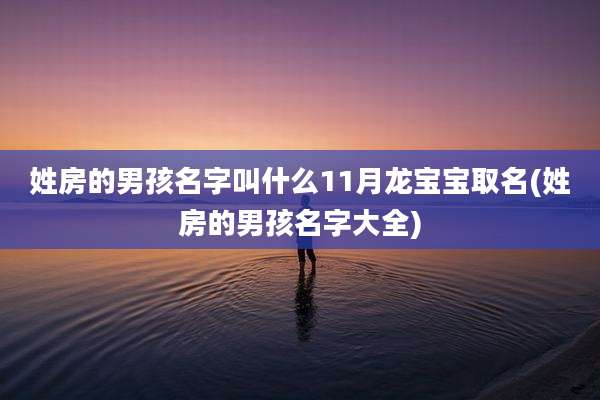 姓房的男孩名字叫什么11月龙宝宝取名(姓房的男孩名字大全)