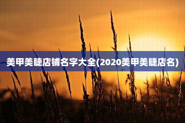 美甲美睫店铺名字大全(2020美甲美睫店名)