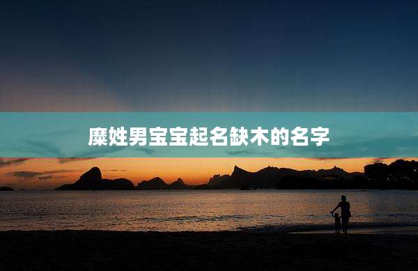 糜姓男宝宝起名缺木的名字