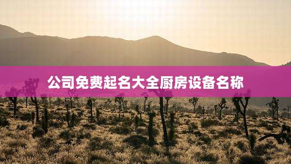 公司免费起名大全厨房设备名称