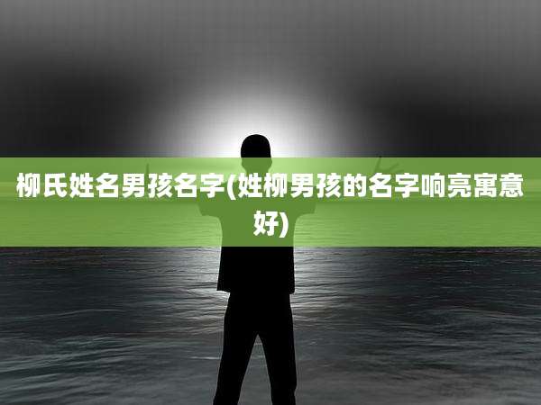 柳氏姓名男孩名字(姓柳男孩的名字响亮寓意好)