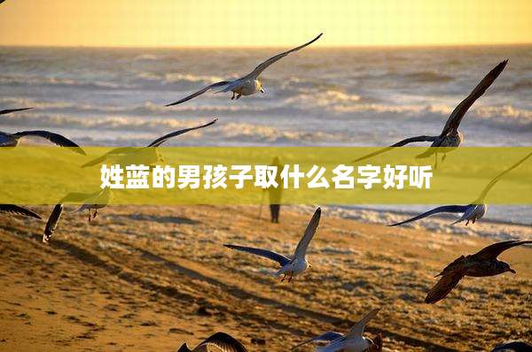 姓蓝的男孩子取什么名字好听