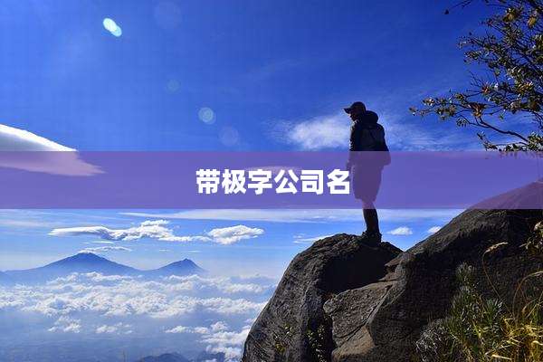 带极字公司名