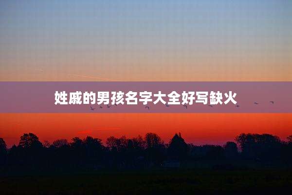 姓戚的男孩名字大全好写缺火