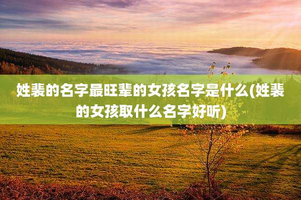 姓裴的名字最旺辈的女孩名字是什么(姓裴的女孩取什么名字好听)