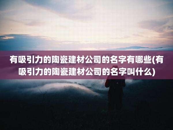 有吸引力的陶瓷建材公司的名字有哪些(有吸引力的陶瓷建材公司的名字叫什么)
