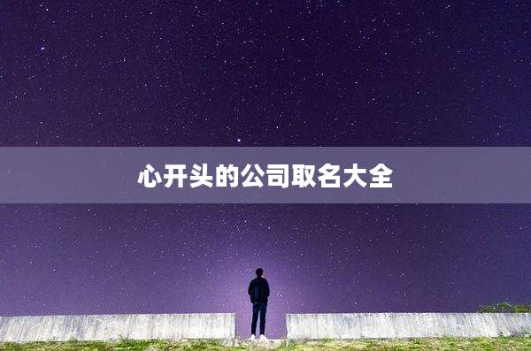 心开头的公司取名大全
