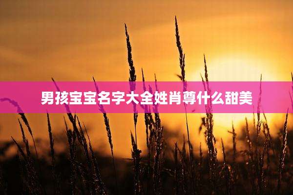 男孩宝宝名字大全姓肖尊什么甜美