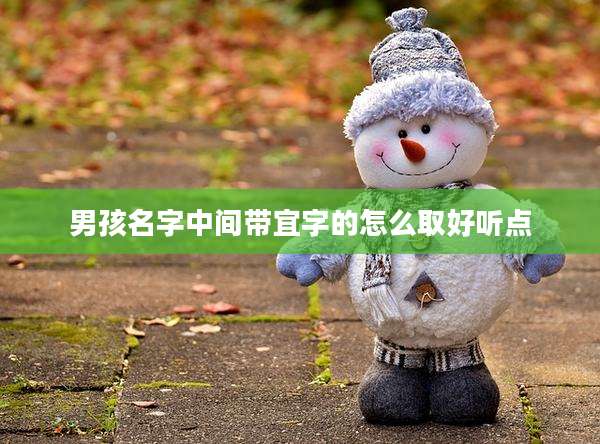 男孩名字中间带宜字的怎么取好听点
