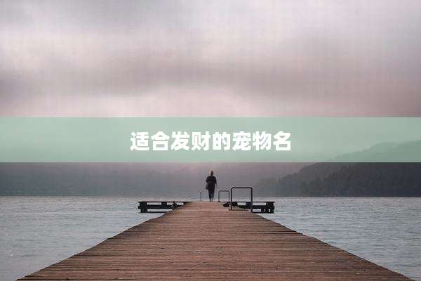 适合发财的宠物名