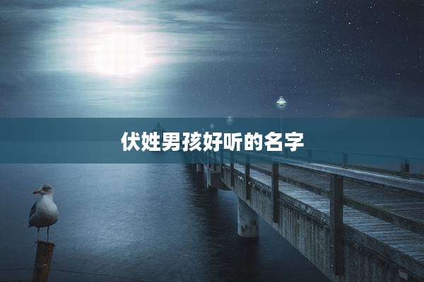 伏姓男孩好听的名字