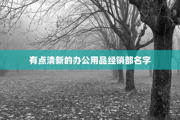 有点清新的办公用品经销部名字