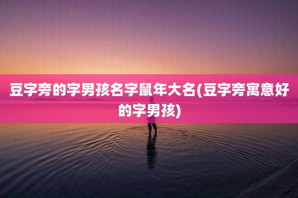 豆字旁的字男孩名字鼠年大名(豆字旁寓意好的字男孩)