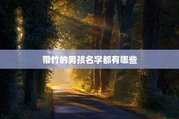 带竹的男孩名字都有哪些
