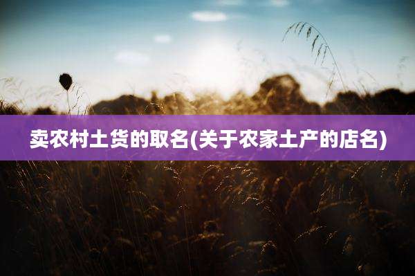 卖农村土货的取名(关于农家土产的店名)