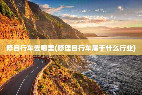 修自行车去哪里(修理自行车属于什么行业)