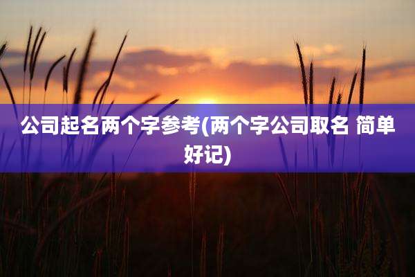 公司起名两个字参考(两个字公司取名 简单好记)