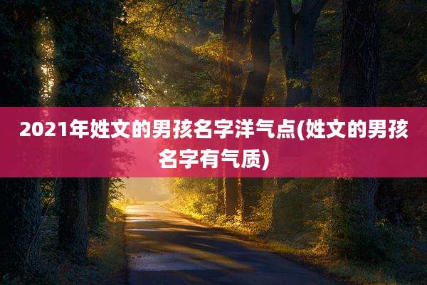2021年姓文的男孩名字洋气点(姓文的男孩名字有气质)
