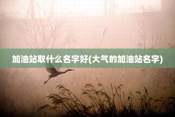 加油站取什么名字好(大气的加油站名字)