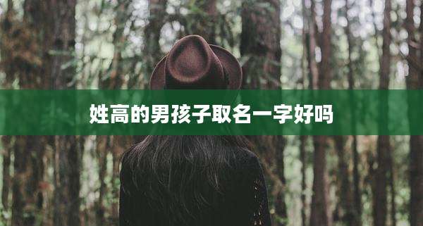 姓高的男孩子取名一字好吗