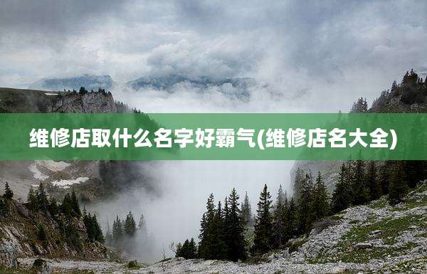 维修店取什么名字好霸气(维修店名大全)