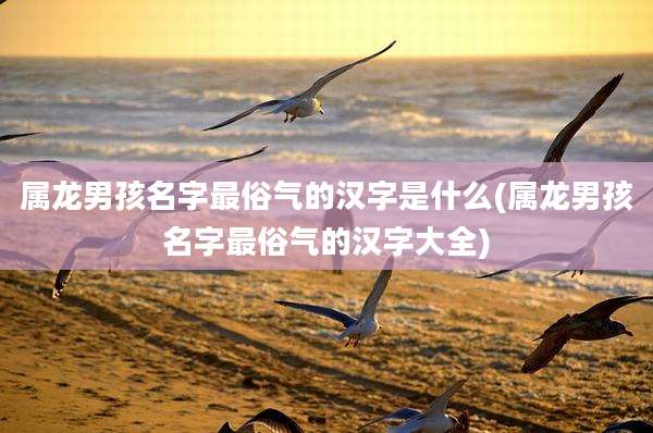 属龙男孩名字最俗气的汉字是什么(属龙男孩名字最俗气的汉字大全)