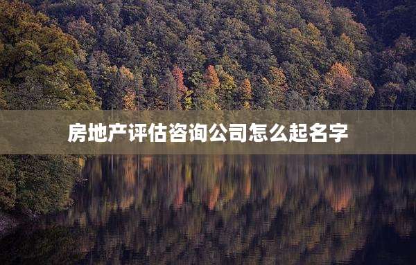 房地产评估咨询公司怎么起名字
