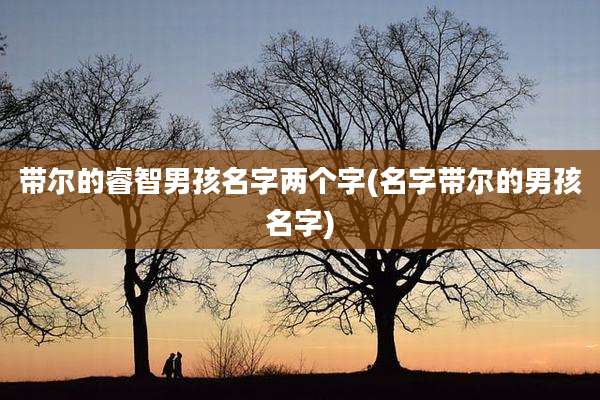 带尔的睿智男孩名字两个字(名字带尔的男孩名字)