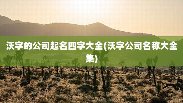 沃字的公司起名四字大全(沃字公司名称大全集)