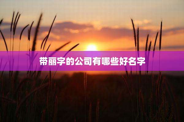 带丽字的公司有哪些好名字