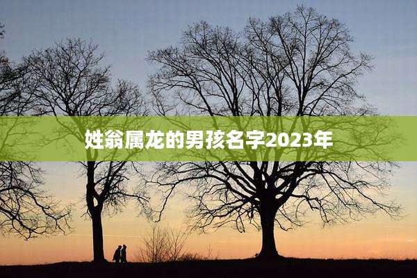 姓翁属龙的男孩名字2023年