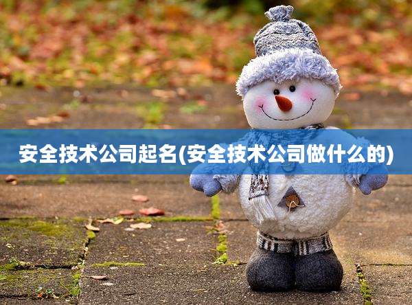 安全技术公司起名(安全技术公司做什么的)