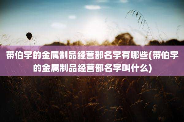 带伯字的金属制品经营部名字有哪些(带伯字的金属制品经营部名字叫什么)