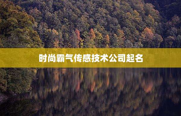 时尚霸气传感技术公司起名