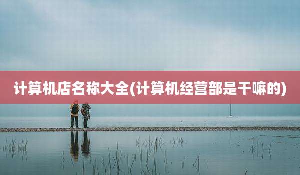 计算机店名称大全(计算机经营部是干嘛的)
