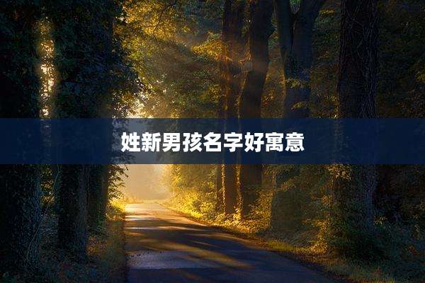 姓新男孩名字好寓意