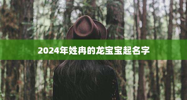 2024年姓冉的龙宝宝起名字
