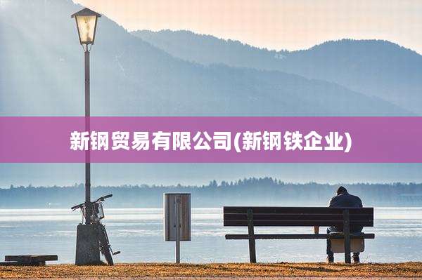 新钢贸易有限公司(新钢铁企业)