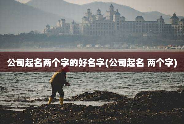 公司起名两个字的好名字(公司起名 两个字)