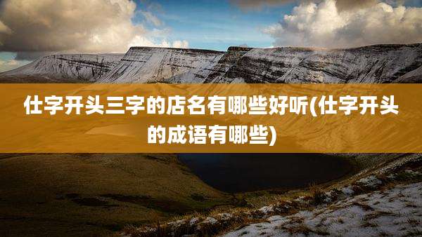 仕字开头三字的店名有哪些好听(仕字开头的成语有哪些)