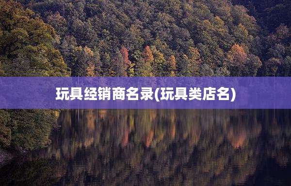 玩具经销商名录(玩具类店名)