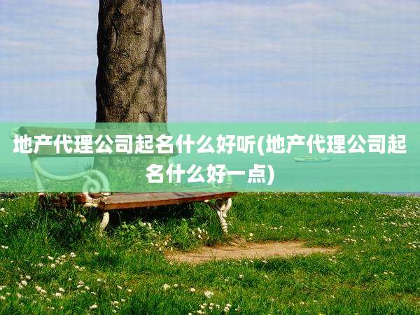 地产代理公司起名什么好听(地产代理公司起名什么好一点)