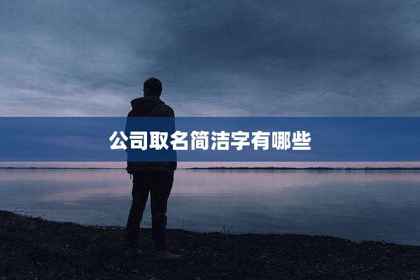 公司取名简洁字有哪些