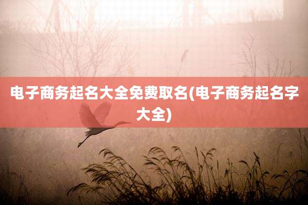 电子商务起名大全免费取名(电子商务起名字大全)
