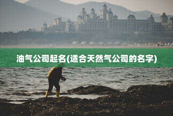 油气公司起名(适合天然气公司的名字)