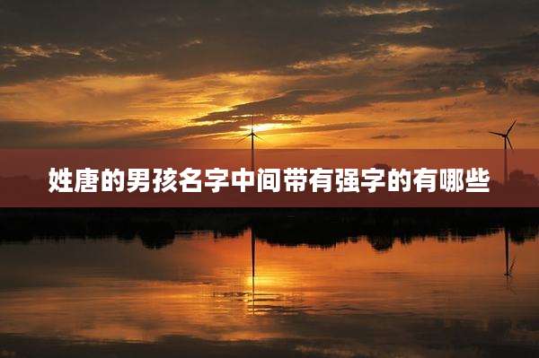 姓唐的男孩名字中间带有强字的有哪些