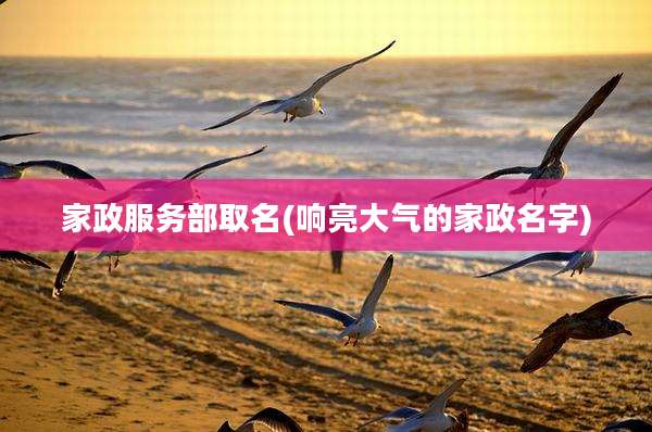 家政服务部取名(响亮大气的家政名字)