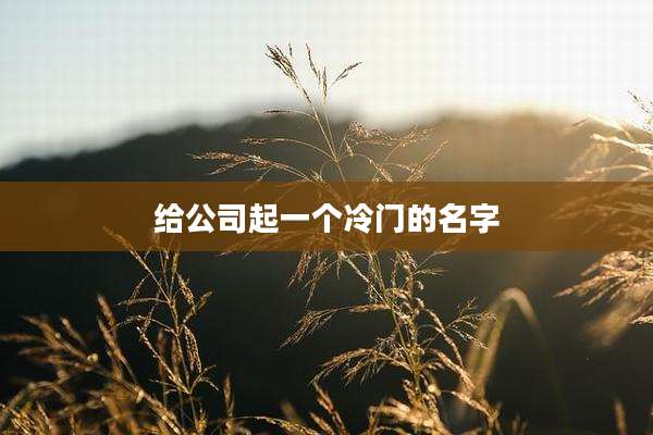 给公司起一个冷门的名字