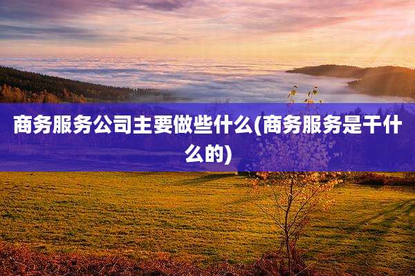商务服务公司主要做些什么(商务服务是干什么的)